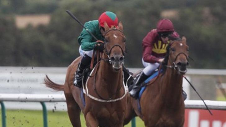 Timeform's shortlist on Friday comes from All-Weather Championships day at Lingfield
